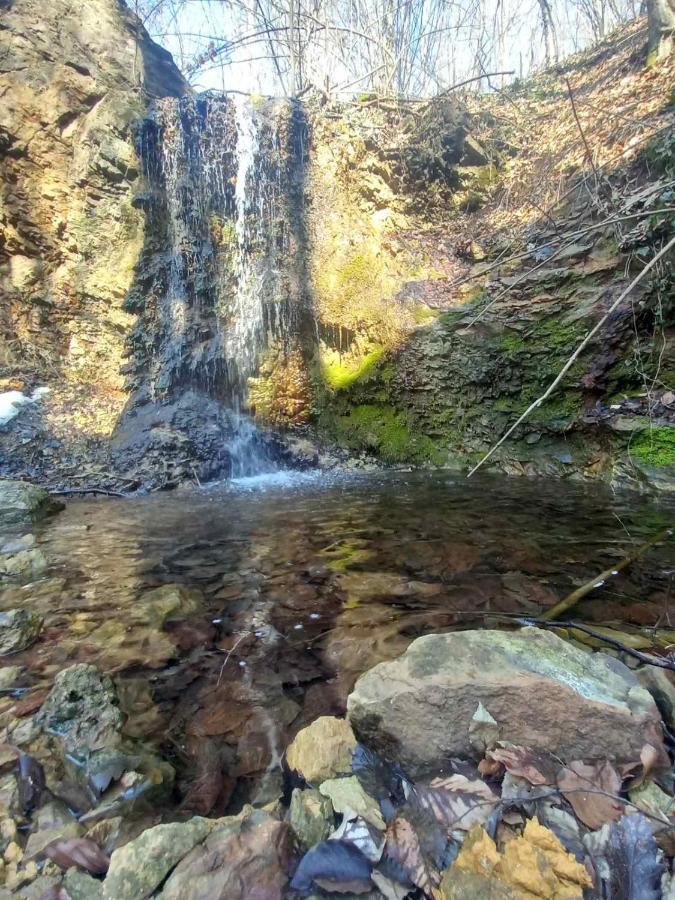 ゴルニ・ミラノヴァツ Skriveni Rajゲストハウス エクステリア 写真
